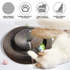 1374.97 - Cat Scratching