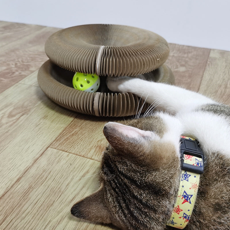 1374.97 - Cat Scratching
