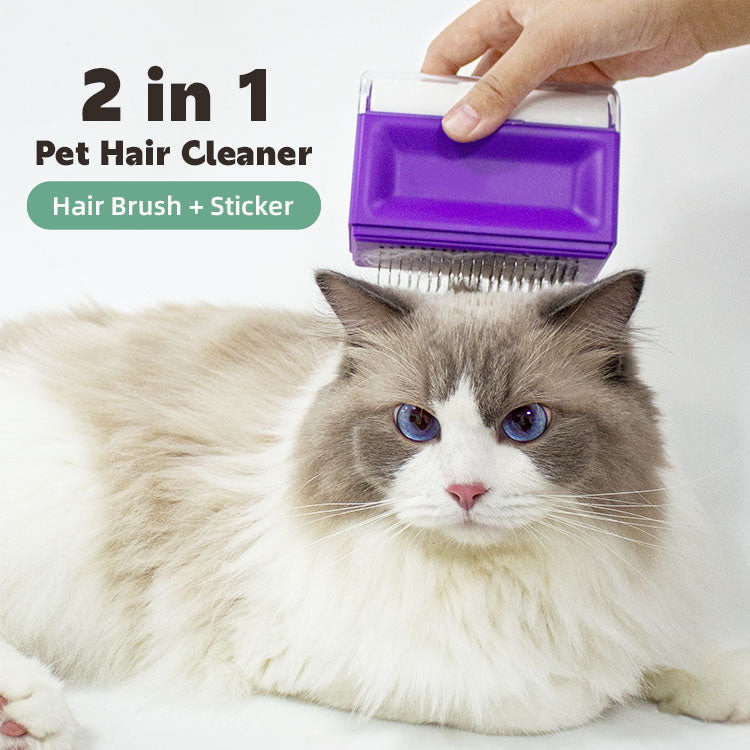 Higher prices - Pet